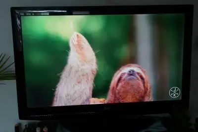 47" LG TV, View more