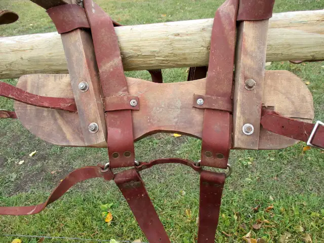 Pack saddle, sawbuck with some rigging, located Dawson Crk in Equestrian & Livestock Accessories in Dawson Creek - Image 6