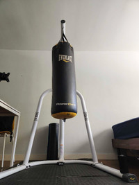 Everlast Punching bag, Stand & Boxing gloves 