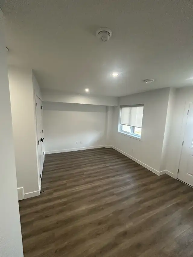 Affordable painter63235171019649122