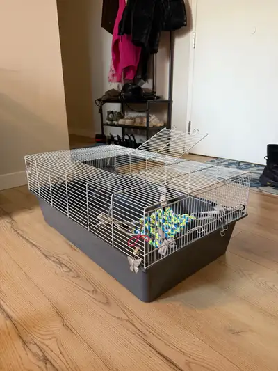 Ensemble cage à rongeurs (équipement complet), View more