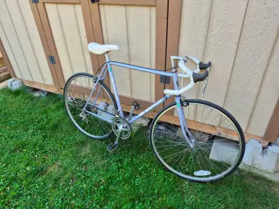 Bianchi tuned up large road bicycle (23" frame), View more