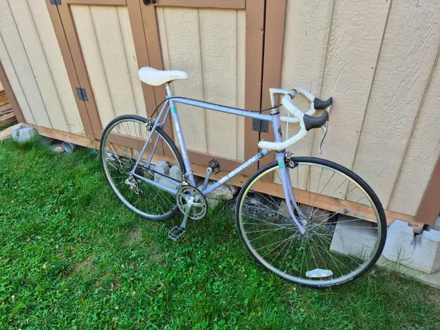 Bianchi tuned up large road bicycle (23" frame) in Road in Ottawa - Image 2
