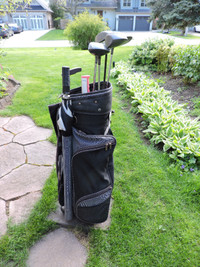 golf bag  with 5 woods