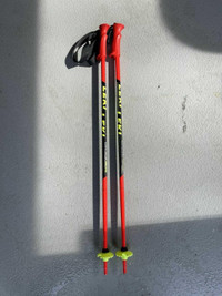Kids ski poles / poles de ski pour enfant