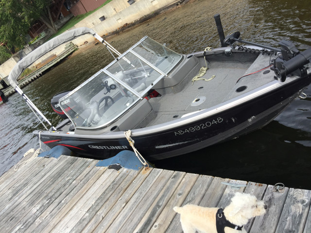 REDUCED! 2015 Crestliner Fish Hawk 1650 WT 90 HP Evinrude HO in Powerboats & Motorboats in Kenora