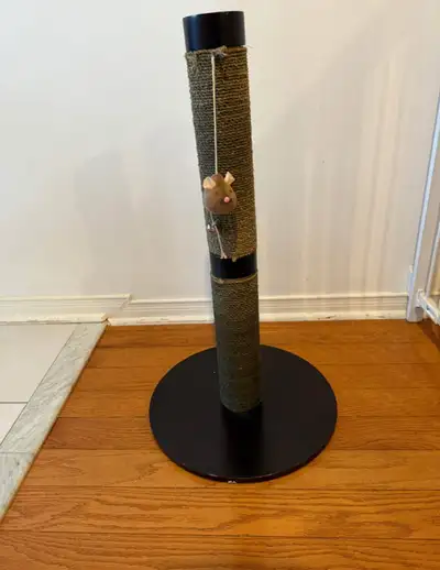 Barely used cat scratching post Cash $20 - pick up only