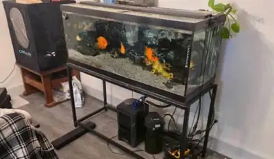 I have a few fish and reptile tanks. One is very large probably 100 gallons and had a stand with it....