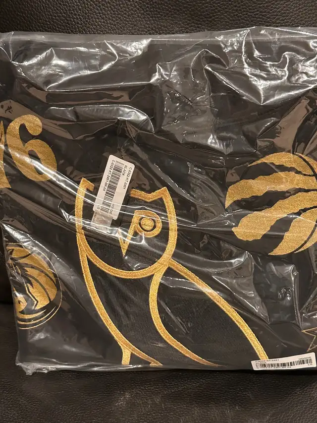 OVO x NBA OG Hoodie (large) in Men's in Mississauga / Peel Region - Image 3