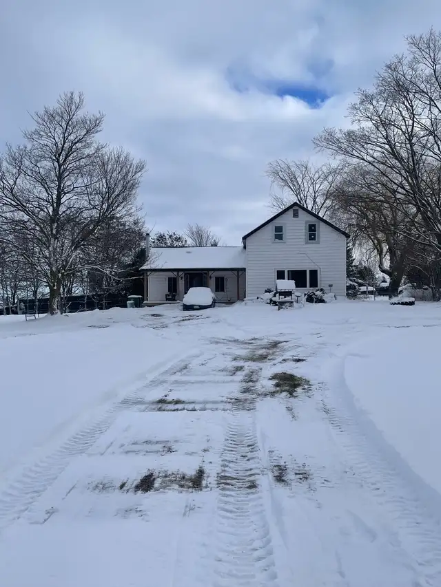 ROOM AVAILABLE ON HORSE HOBBY FARM