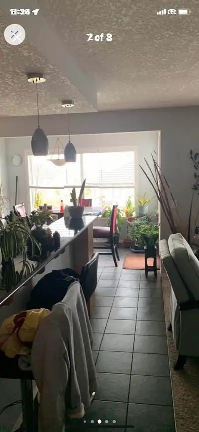 2 Rooms for rent to female