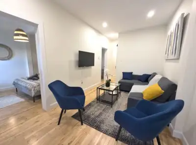 Urgent, grand 4 ½ Meublé et cours privée, à 5min rue Masson