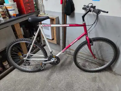 150$/chacun Plusieurs Velo de montagne roues 26po, View more