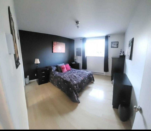 442 Rue Saint-Joseph — photo 1