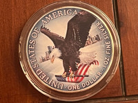 Limited Colour American Silver Eagle 2021 1 oz Pure Silver Coin