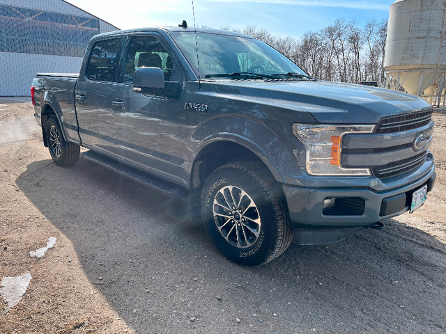 2019 Ford F150 in Cars & Trucks in Portage la Prairie - Image 4