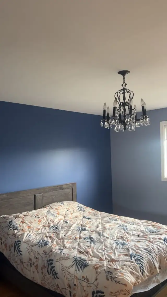 painter and handyman 450230019530444800