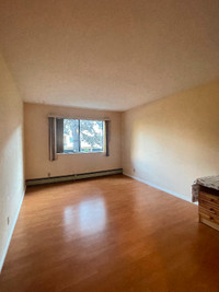 One Bedroom Apartment near Richmond Center