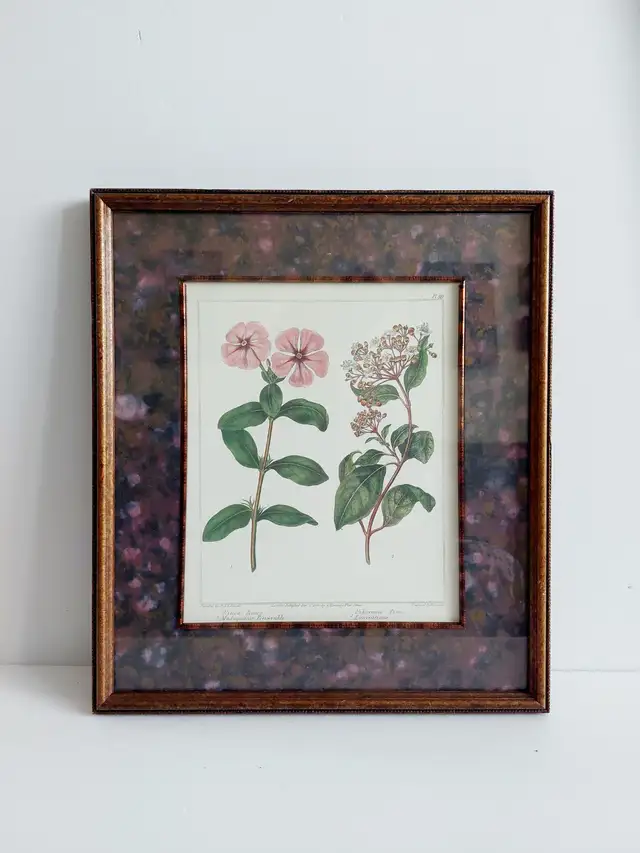 3 'Edwards Botanicals' prints, by Bombay Compa in Home Décor & Accents in Hamilton - Image 3