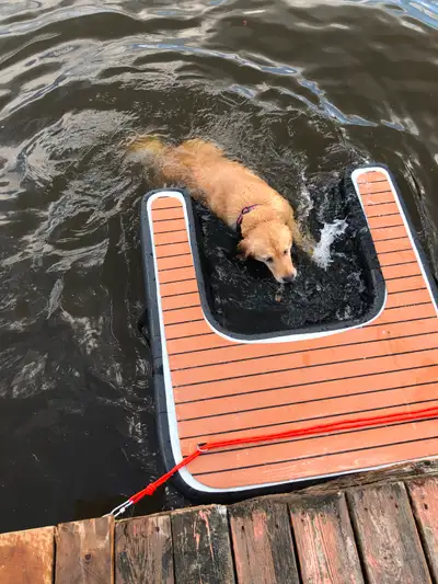 Dock/Boat/Pool Exit Ramp for Dogs, View more