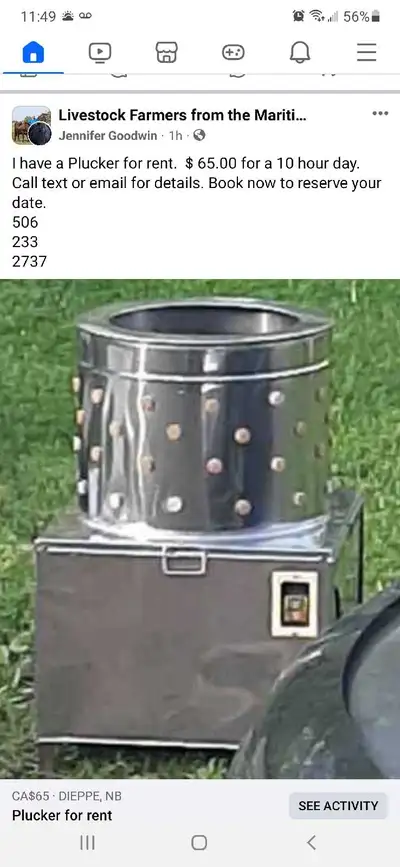 chicken plucker for rent , View more