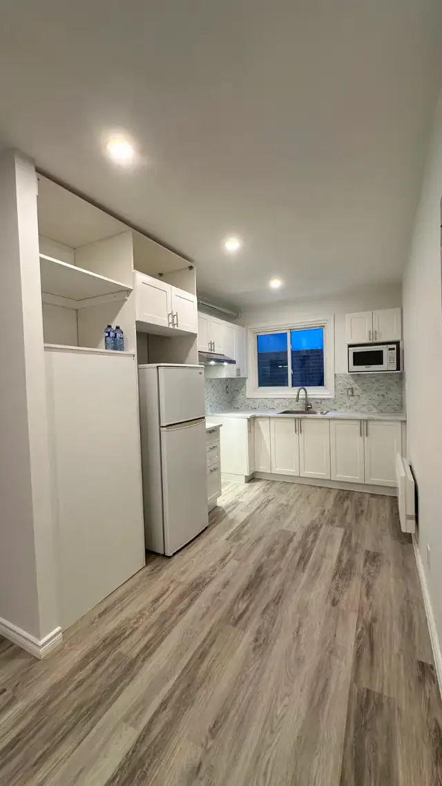 Renovated 4 1/2 Point St-Charles (Montreal) for rent