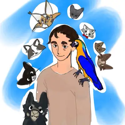 Help Wanted - Studi Setup for Content Creator, View more