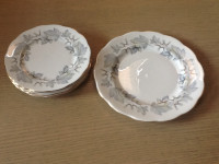 Silver Maple Royal Albert Plates