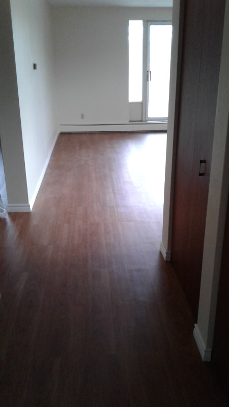 Extra Large Belmont Village Two Bedroom Apartment in Long Term Rentals in Kitchener / Waterloo - Image 4