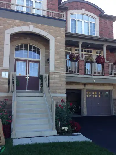 1 bedroom walkout basement apartment for rent in Brampton, good for working single or couple, no stu...