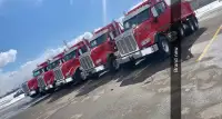 Hiring Dump truck drivers !!!! Az/D