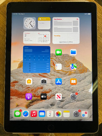iPad Air 2 64 GB Wifi+Cellular