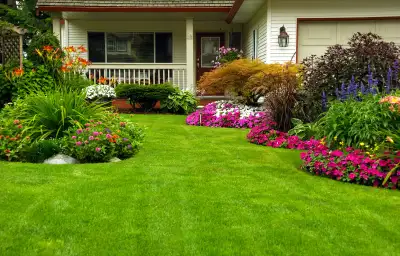 Grass cutting, lawn mowing service. Honest, quality work, always reliable and punctual. Service incl...
