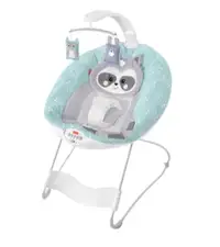 Fisher-Price Baby Raccoon See & Soothe Deluxe Bouncer

