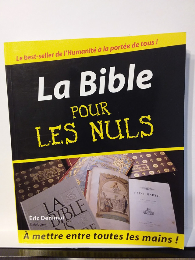 LA BIBLE POUR LES NULS  dans Autre  à Lanaudière