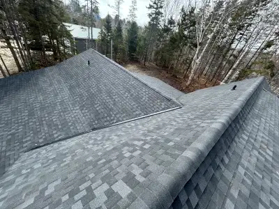 Roofing/Siding/Exterior renovation, View more