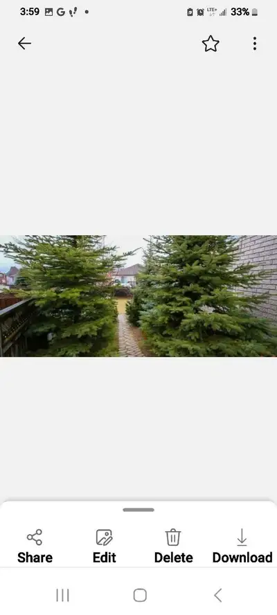 Room for rent in Walk out Basement