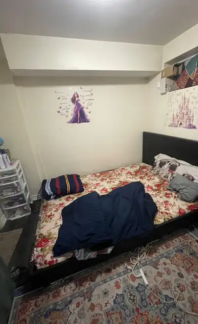 1 Bed 1 Bath Basement ( Albion & Finch, Etobicoke)