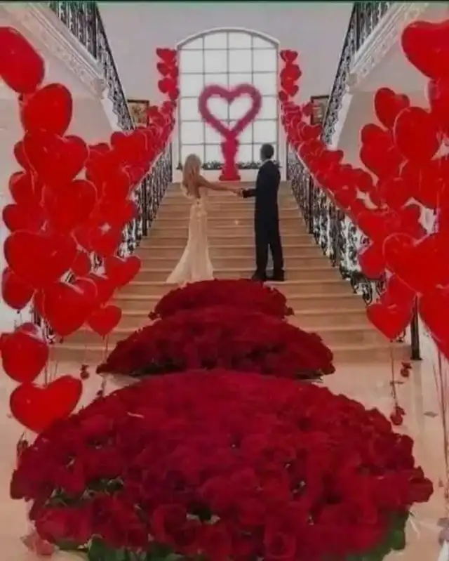 WEDDING LIMO in Friendship & Networking in St. Catharines - Image 3