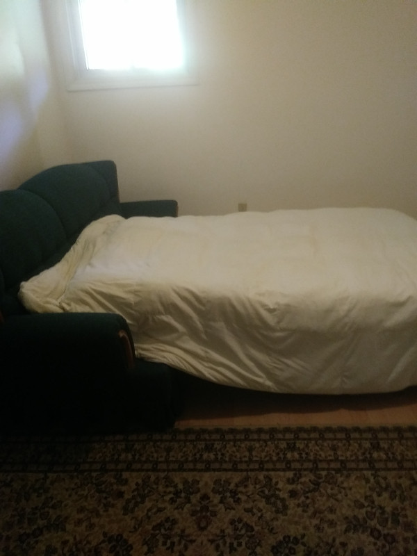 Nice Clean Room for Rent in Ottawa /Hunt Club / SouthKey/ Nepean in Room Rentals & Roommates in Ottawa - Image 2