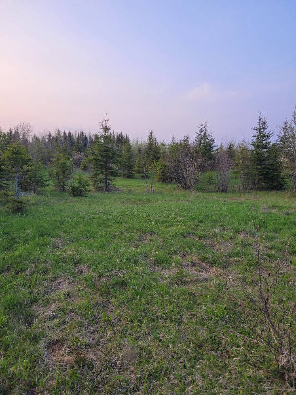 Land in off grid community in Long Term Rentals in Timmins - Image 3