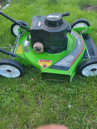 Briggs and Stratton  21 gas lawnmower 