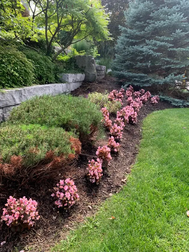 Yard Work in Westboro