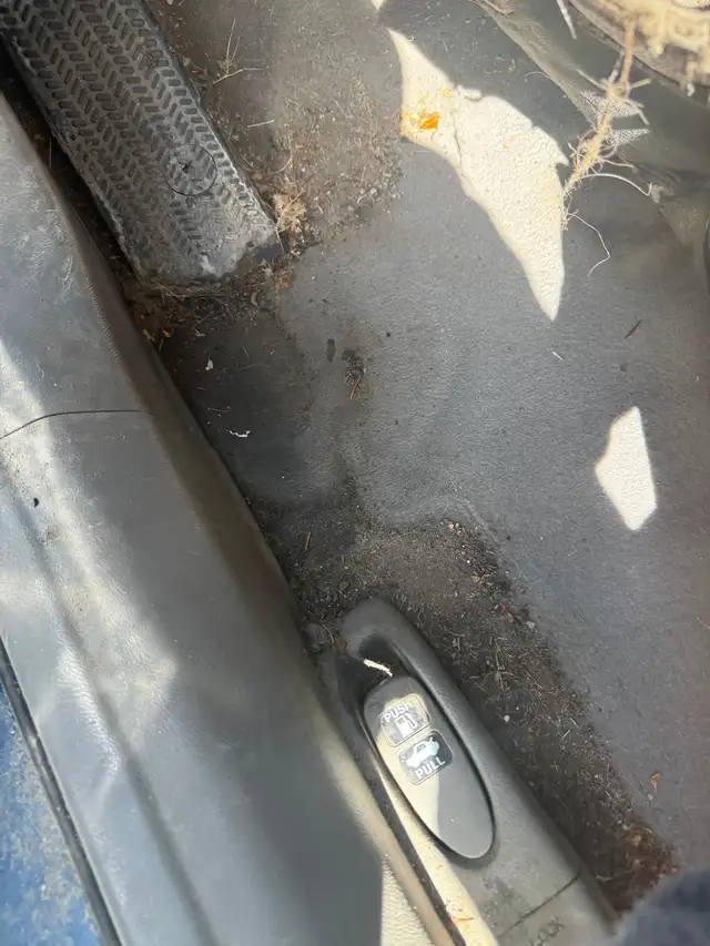 car detailing433377130767994880