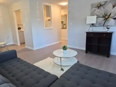 Bright 1-Bedroom, 1-Bathroom corner unit with both North and East-facing windows, beautiful morning...