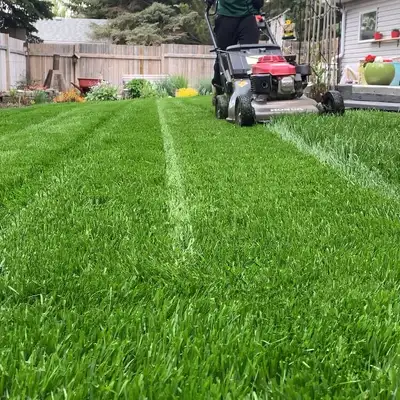Hi there, I offer high quality lawn maintenance services. Contact me over email or text for inquirie...