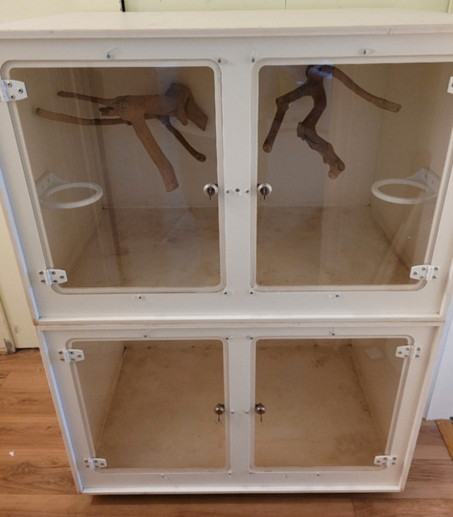 Custom Reptile Enclosures in Reptiles & Amphibians for Rehoming in St. Catharines - Image 4
