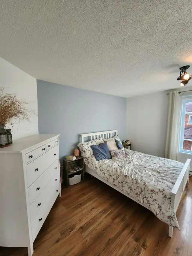 Grand 4 1/2 lumineux in Long Term Rentals in Thetford Mines - Image 7