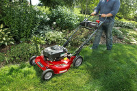 Lawnmower Repair Services and Maintenance  -  $80