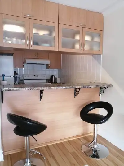 Location COURT TERME : entre le 2 et 24 Aout 2026 Magnifique grand 4 1/2 lumineux tout inclus au cœu...